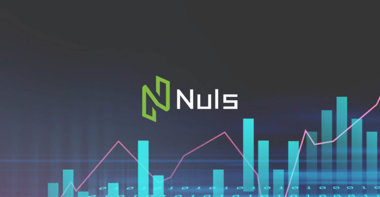 Nuls - The Adaptable Blockchain That Your Business Needs