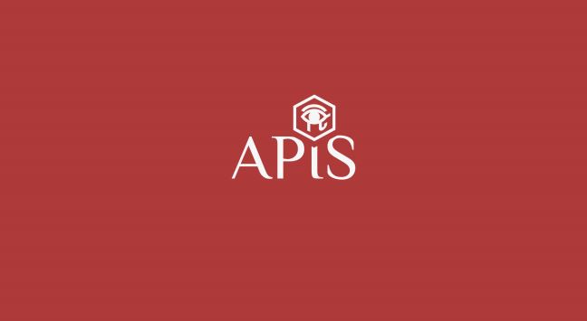 CEO of APIS Elaborates the Platform's Long-Term Vision