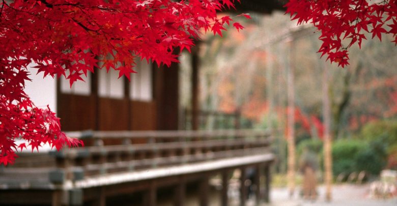 Japanese Regulators Publish Crypto Framework Draft