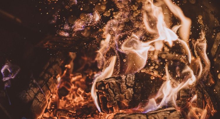 The Future Of Bitcoin : Extinction Or Mass Adoption?