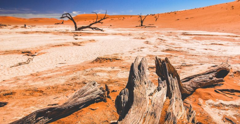 'Eventually Everyone Will Understand The Concept Of Scarcity Of Bitcoin (BTC)': Founder Of Morgan Creek Digital