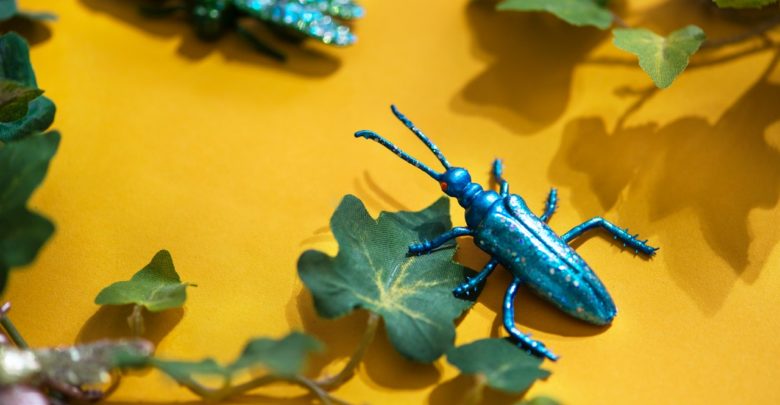 Report: Over 40 Bugs Detected in Various Blockchain & Crypto Related Platforms