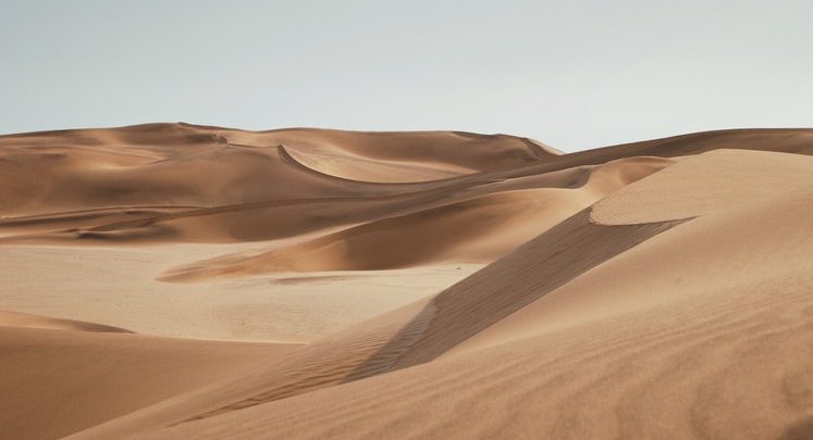 Desert Safari Dubai - Here's Why You Need to Try it Out