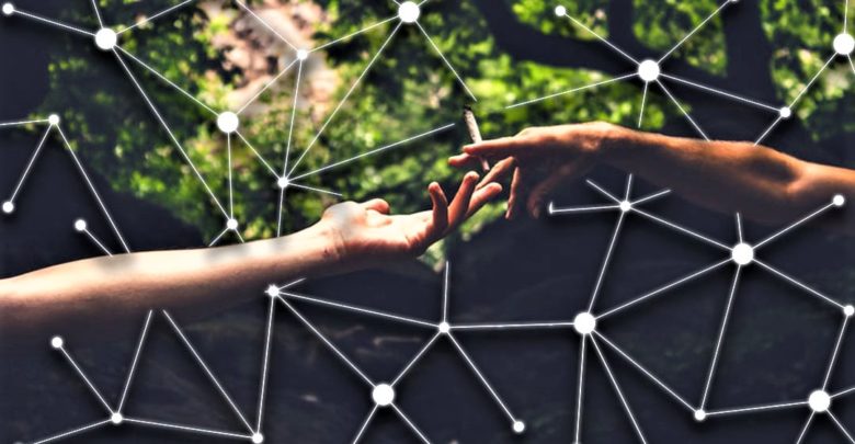 Putting Cannabis on Blockchain - Is this Australian Company High