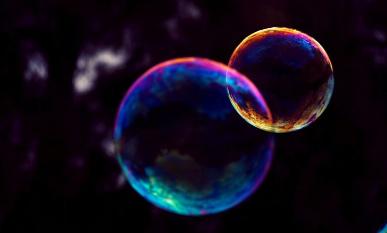 Anatomy of a Bubble in Financial Markets