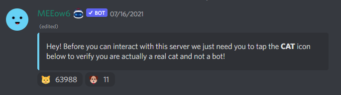 Discord setup for NFT project